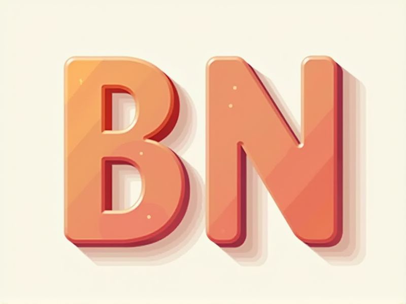 Template and Examples for BN Number Letter Samples