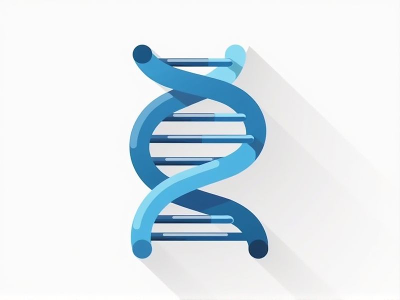 DNA Replication: Examples and Template Letter Samples